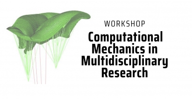 Computational Mechanics in Multidisciplinary  Research
